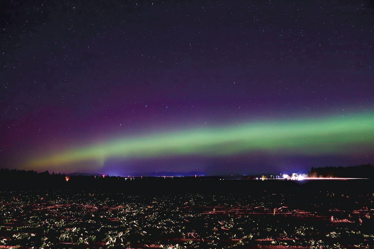 The Northwest Lights Aurora Borealis Lit Up Northern Washington Sky